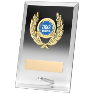 Clear Plaque