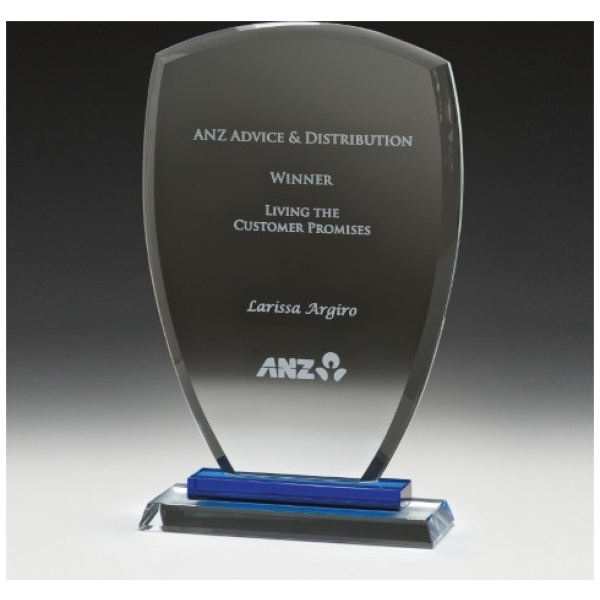 Blue Shield Award