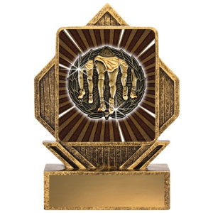 Lynx Arrow - Running