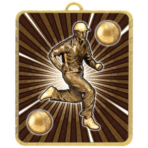 Lynx Medal - Cricket Fielder