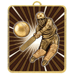 Lynx Medal - Cricket Batsman