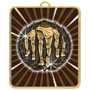 Gold Lynx Medal - Running