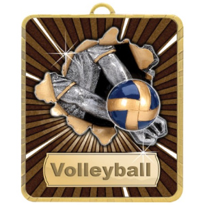 Gold Lynx Medal - Volleyball