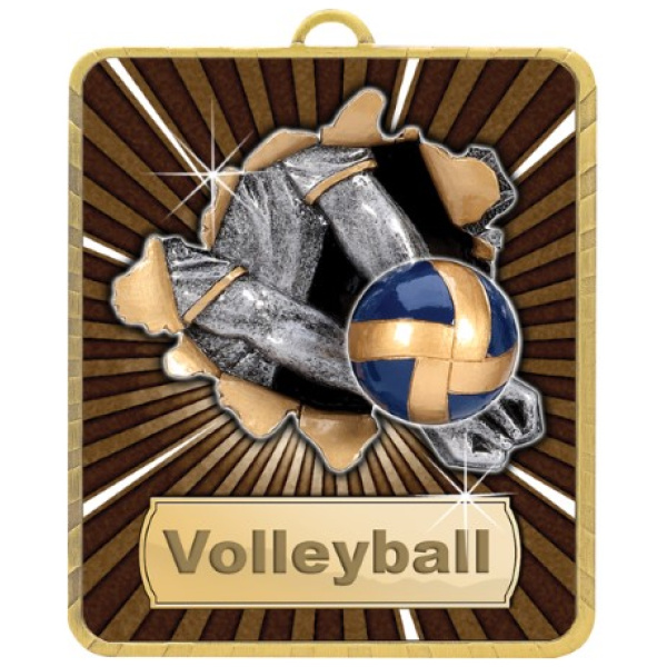 Gold Lynx Medal - Volleyball