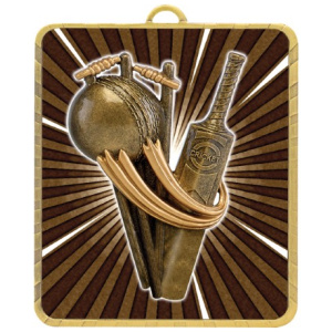 Lynx Medal - Cricket Theme