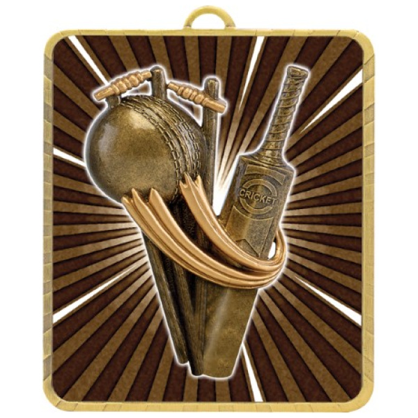 Lynx Medal - Cricket Theme