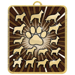 Gold Lynx Medal - Pet