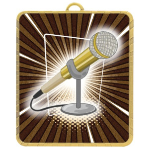 Gold Lynx Medal - Public Speaking