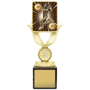 Lynx Sentry - Bowling