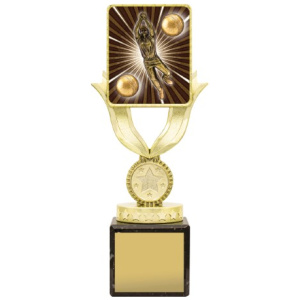 Lynx Sentry - Fielding