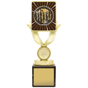 Lynx Sentry - Running