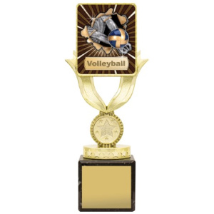 Lynx Sentry - Volleyball