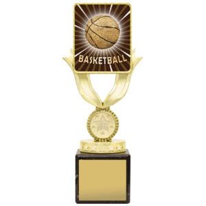 Lynx Sentry - Basketball