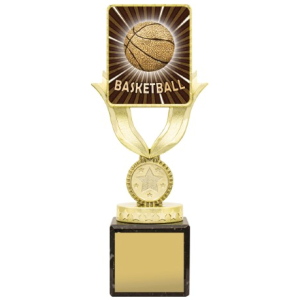 Lynx Sentry - Basketball