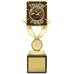 Lynx Sentry - Track & Field