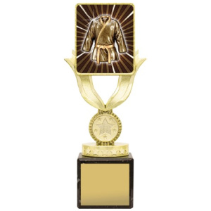 Lynx Sentry - Martial Arts