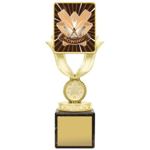 Lynx Sentry - Rowing