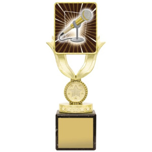 Lynx Sentry - Public Speaking