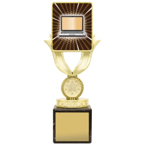 Lynx Sentry - Computers