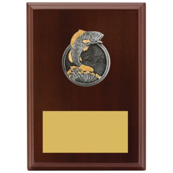 Peak Plaque Fishing