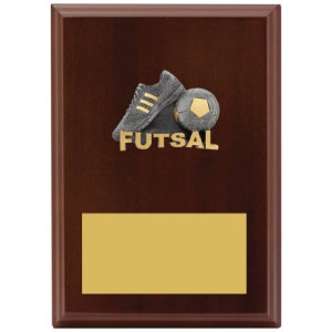 Peak Plaque Futsal