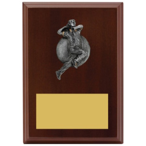 Plaque - Male Bowling