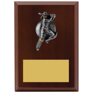 Plaque - Female Batting