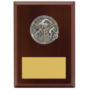 Peak Plaque Triathlon