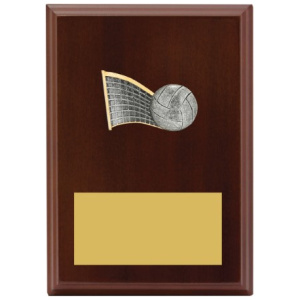 Peak Plaque Volleyball