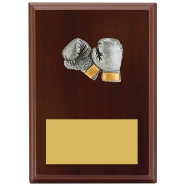 Peak Plaque Boxing