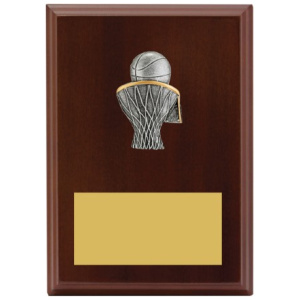 Peak Plaque Basketball