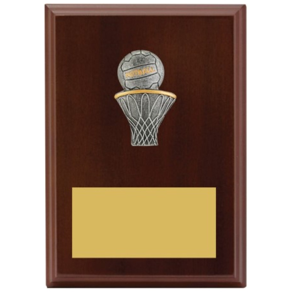Peak Plaque Netball
