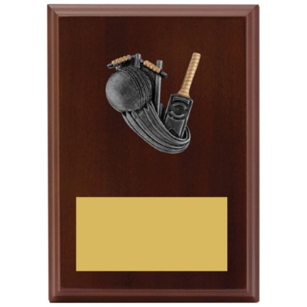 Peak Plaque Cricket
