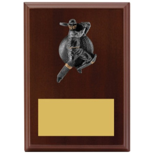 Plaque - Male Batting