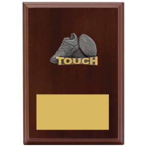 Peak Plaque Touch