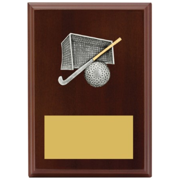 Peak Plaque Hockey