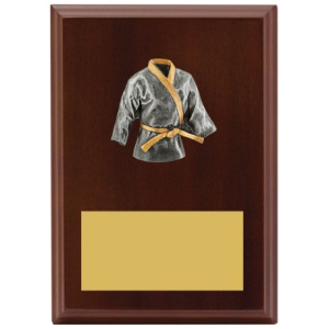 Peak Plaque Karate