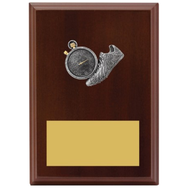Peak Plaque Track