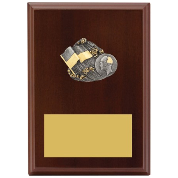 Peak Plaque Lifesaving