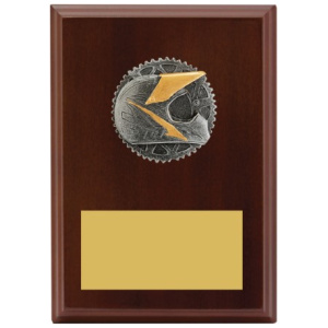 Peak Plaque Motocross