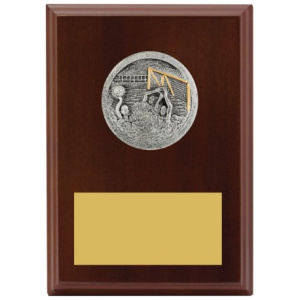 Peak Plaque Water Polo