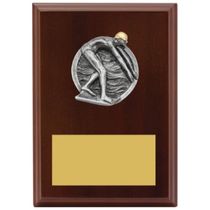 Peak Plaque - Male Swim