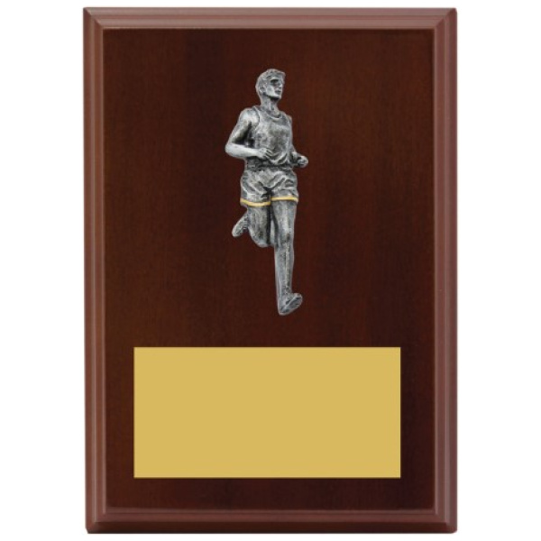 Peak Plaque - Male