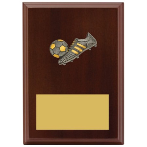 Peak Plaque Football