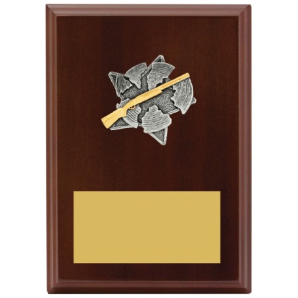 Peak Plaque Shooting