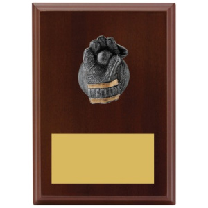 Plaque - Wicketkeeper