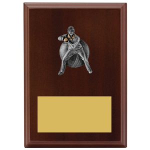 Plaque - Male Fielding