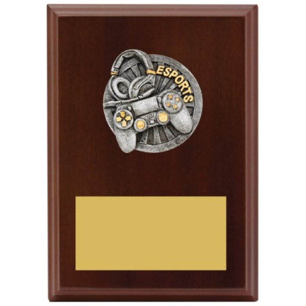 Peak Plaque Esports
