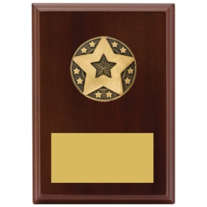 Star Award Plaque