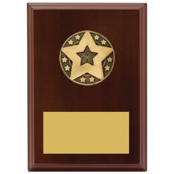 Star Award Plaque